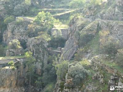 Pinar de Casasola-Embalse del Villar; escapadas montaña sur de gredos coca segovia grupos senderismo